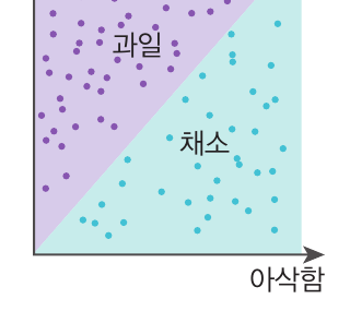 과일과 채소의 선형 분류 그래프